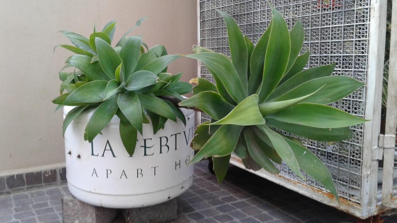La Tertulia Campana Exterior foto